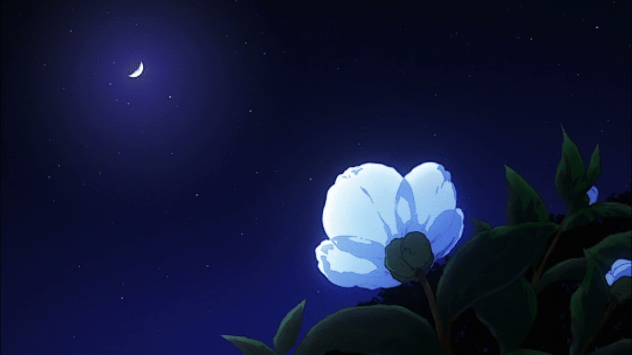 lida ~ звездопад nightcore ♡