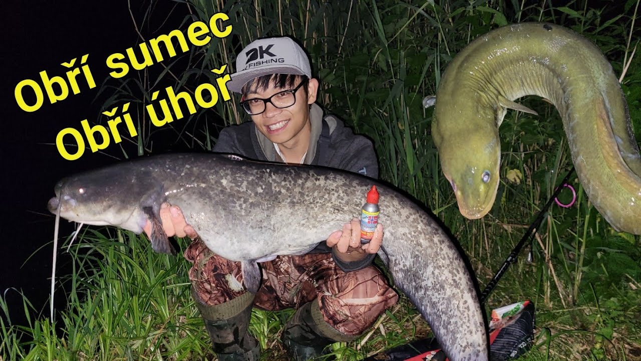 Obří ÚHOŘ, Obří SUMEC