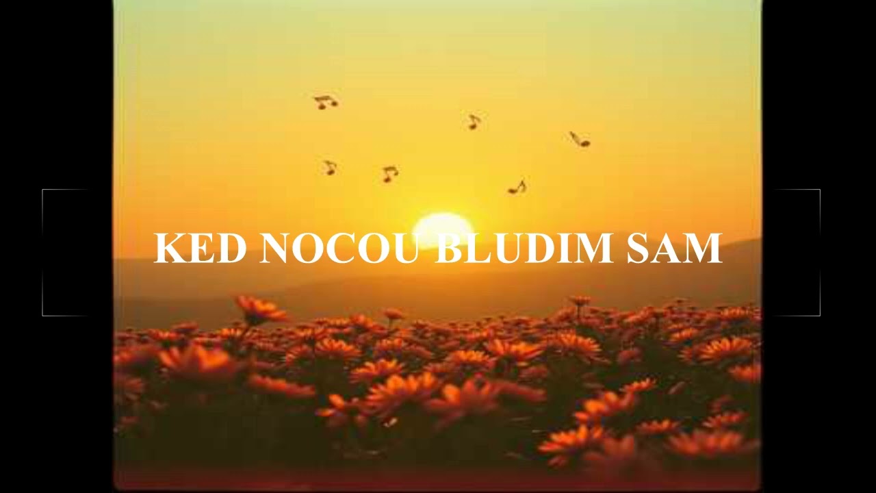 KED NOCOU BLUDIM SAM