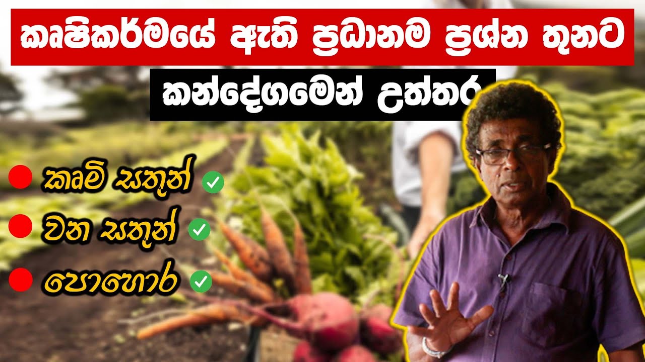 කෘෂිකර්මයේ ඇති ප්‍රධානම ප්‍රශ්න තුනට කන්දේගමෙන් උත්තර | කවුද මේ පකෝනිස් ? | Thilak Kandegama