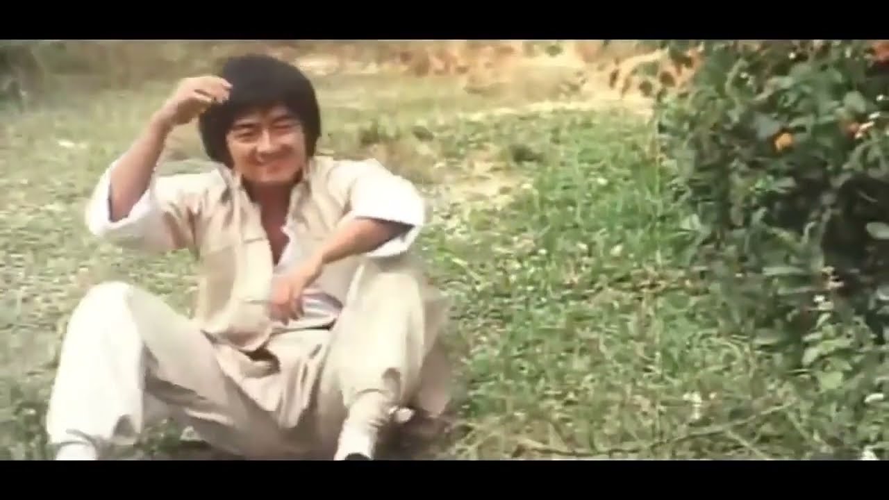 Kung Fu Genius 1979 : Cliff Lok (Kung Fu Genius) vs. Hsiao Ho (iron ring)