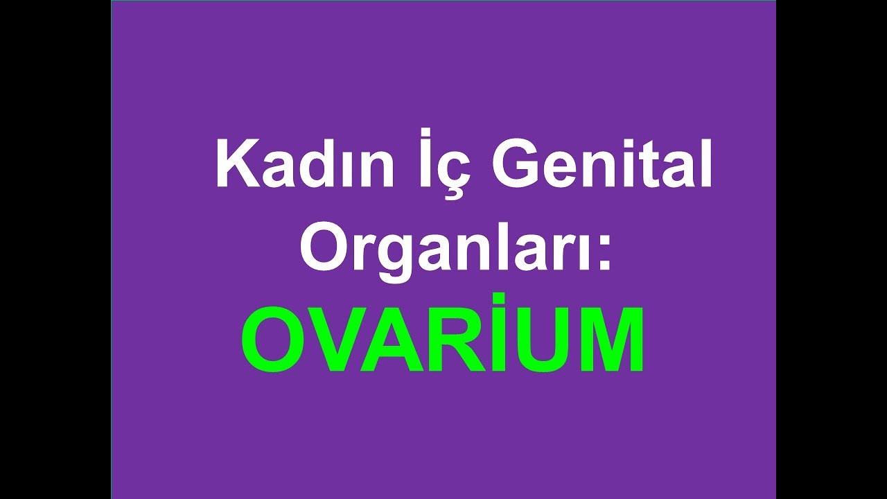 15. Kadın İç Genital Organları: Ovarium YAYDAR