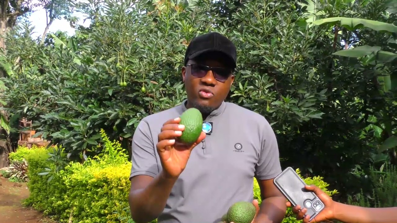 ALIYEUZA NG’OMBE 8 KULIMA PARACHICHI ALIA NA BEI