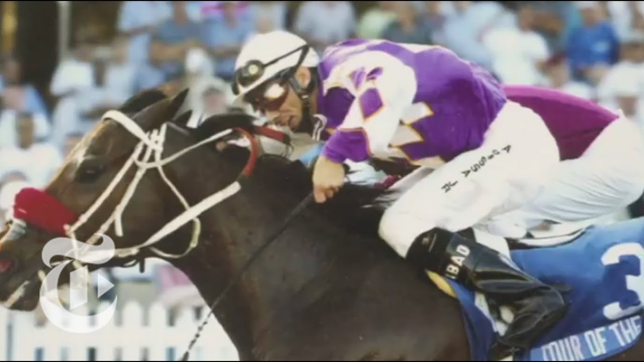 Sports: Where Do Racehorses Go? | The New York Times