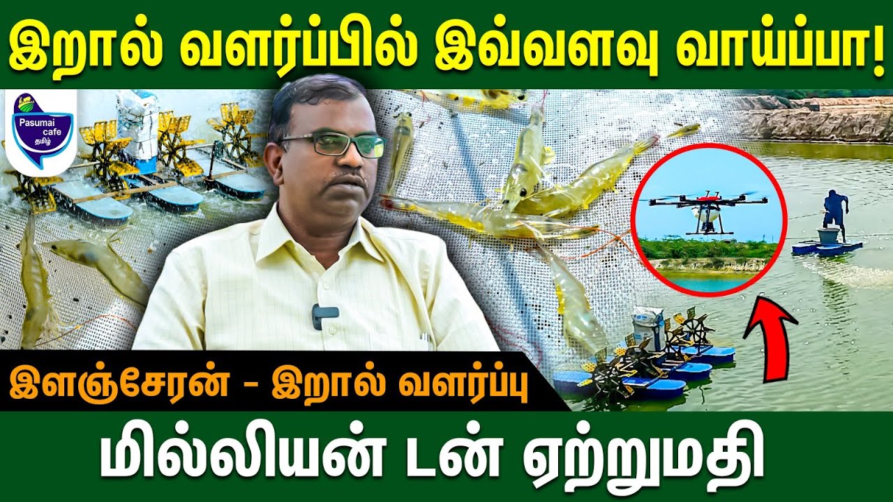 இறால் குட்டை தண்ணீரும் லாபம் தரும் - Elancheran Prawn & Fish Farming #prawns #fish