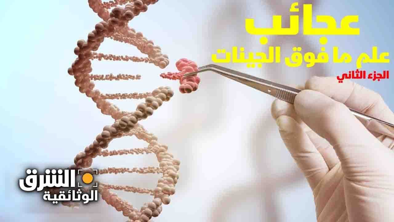عجائب علم ما فوق الجينات: الجزء الثاني - الشرق الوثائقية