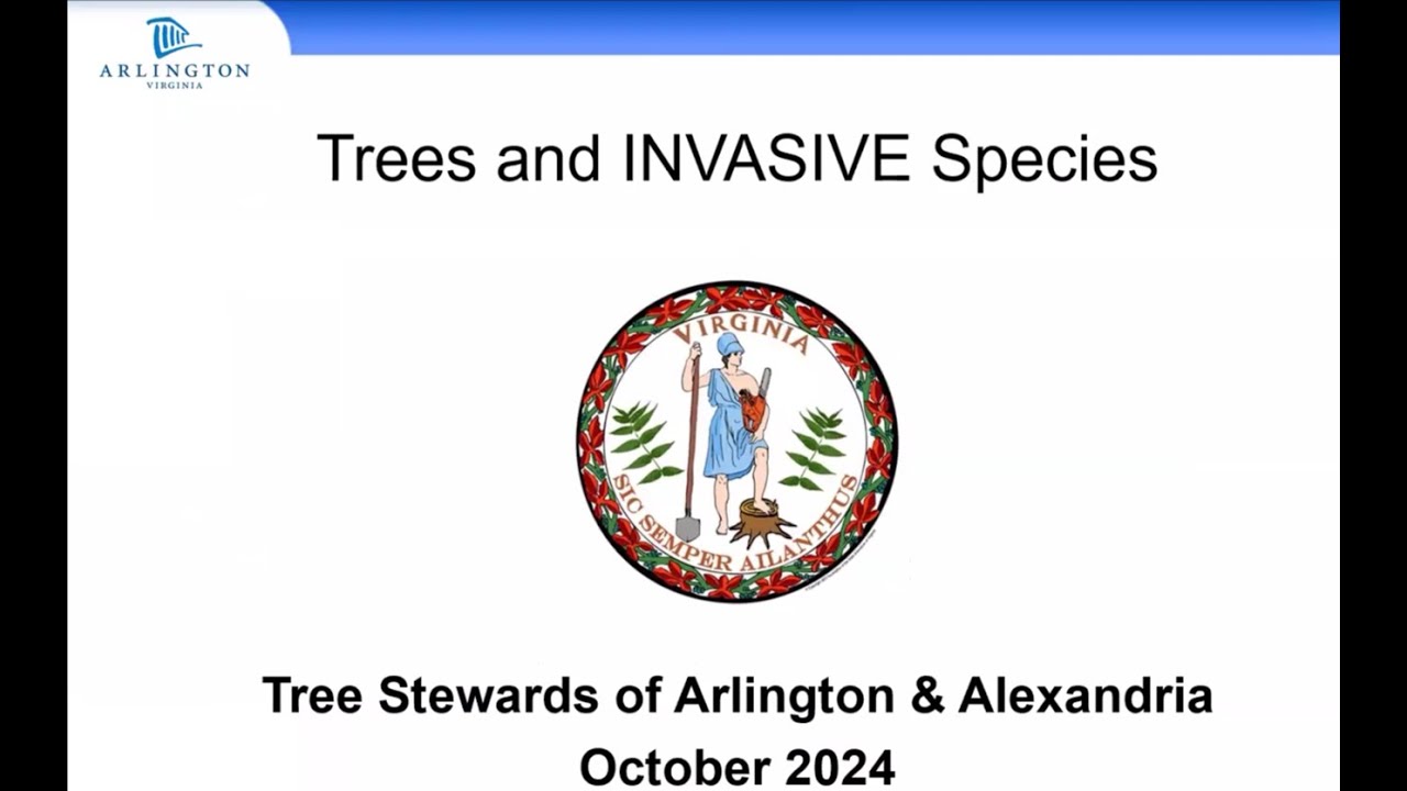 Trees and Invasive Species with Jennifer Soles