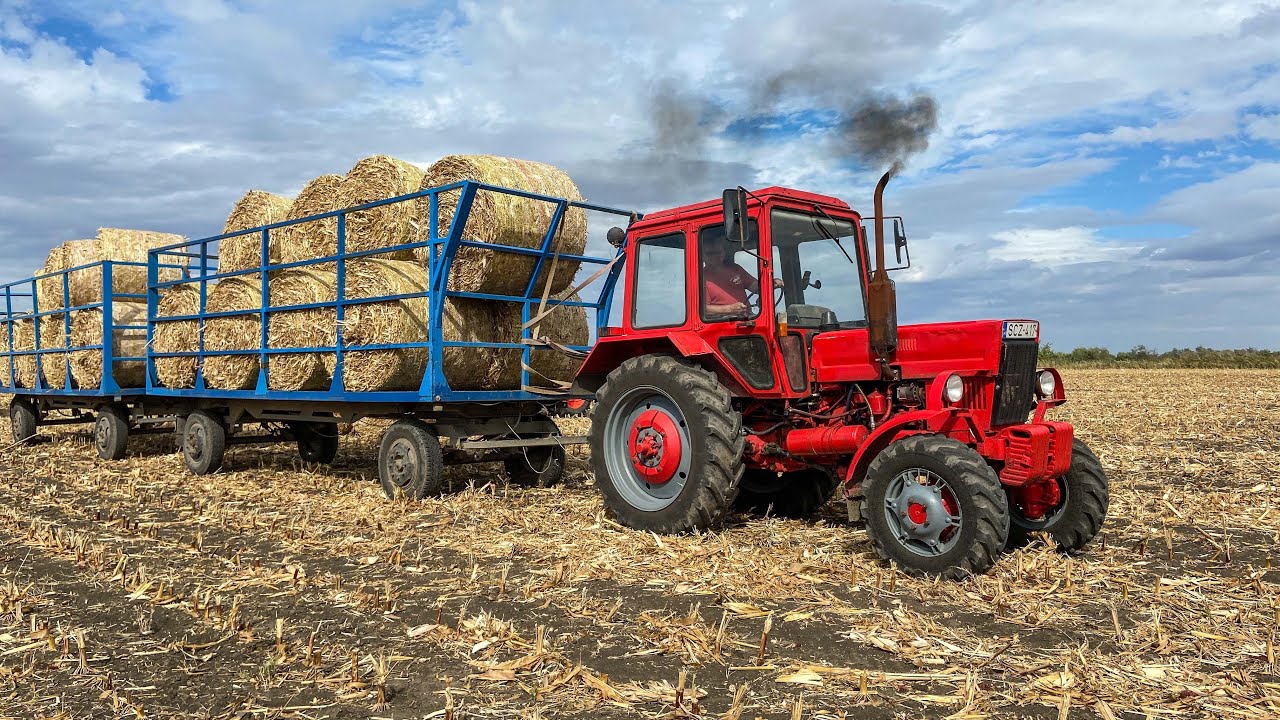 Bálahordás 2020 | 3x MTZ + Claas Arion 540 + Case IH | CAT TH 62 | Bale Transport
