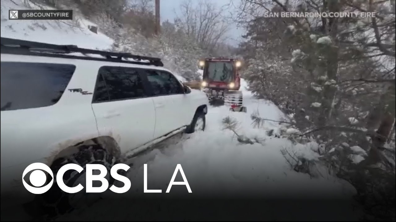 San Bernardino County firefighters rescue stranded camper and his dog