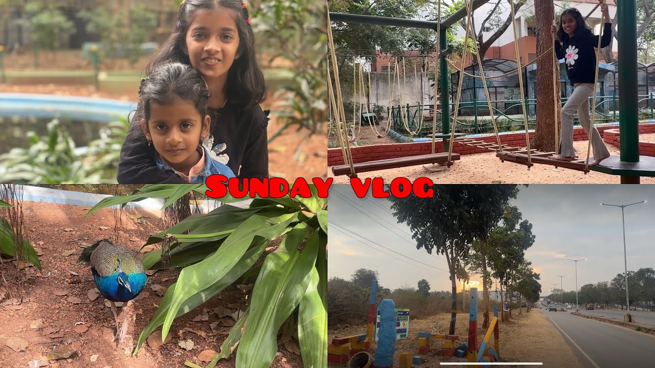 Sunday Vlog | ನಮ್ಮ ಸಣ್ಣ ಸಣ್ಣ ಕ್ಷಣಗಳು❤️