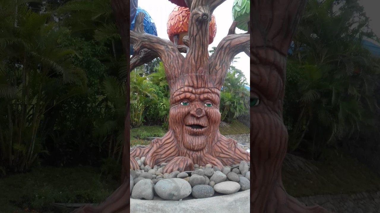 Nuevo video Para hoy Dulhu el Savio🌳