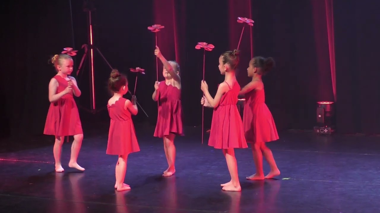 GALA DE DANSE 2024