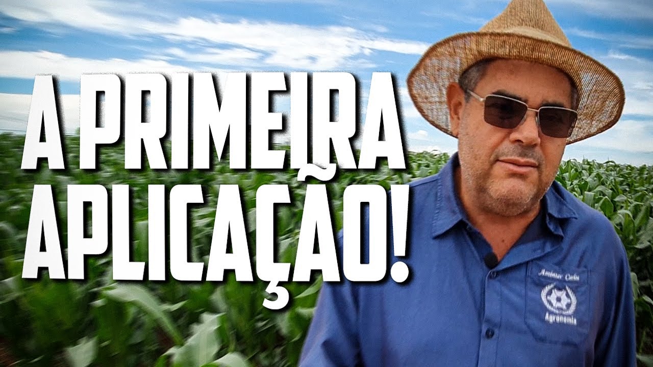 A primeira aplicação para fazer no milho