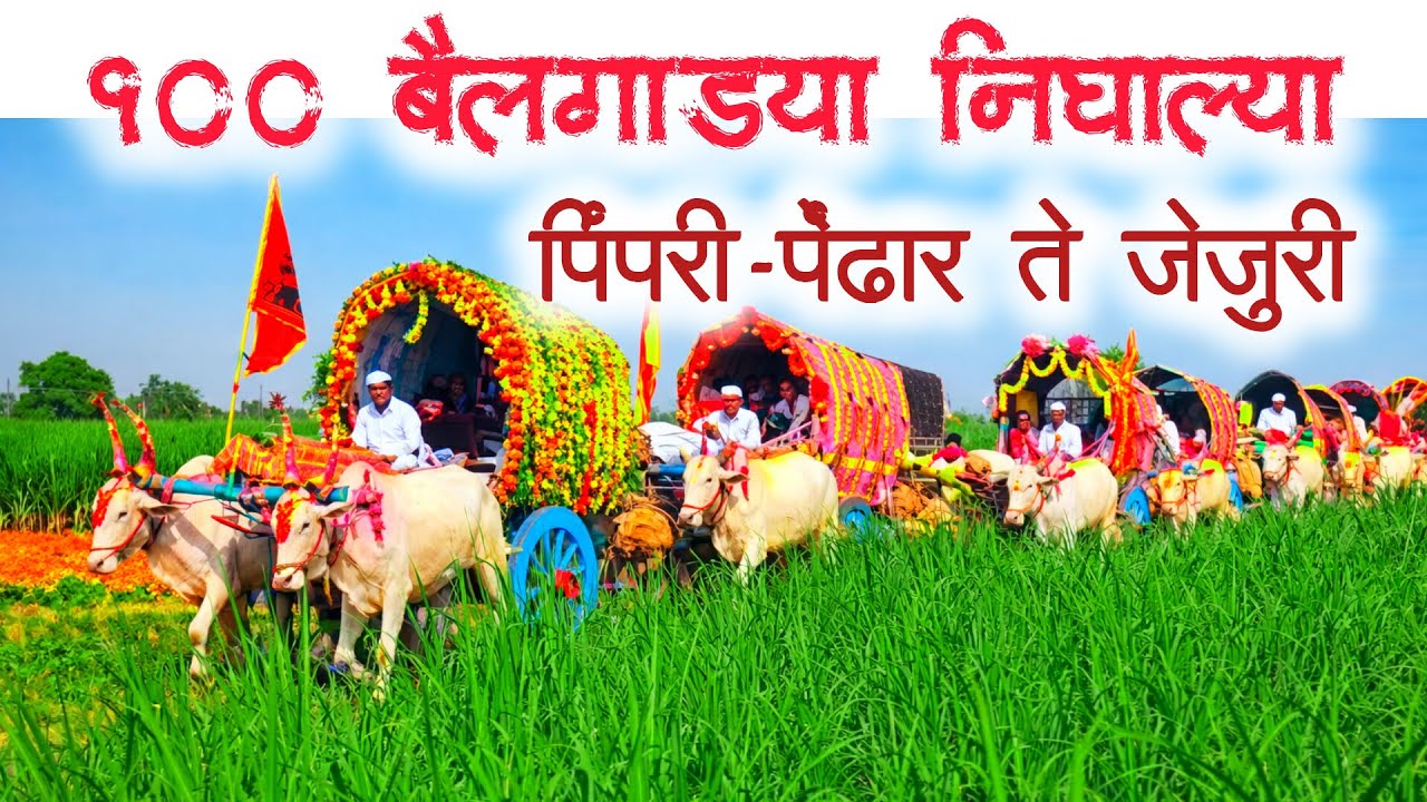 100 बैलगाड्या निघाल्या जेजुरी यात्रेला | शेतकरी बांधवांनी आपले परंपरा जपली आहे | khillar bail jodi