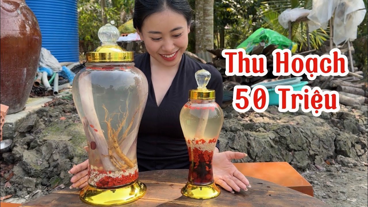 Thu Hoạch Hơn 50 Triệu Khi Đầu Tư Nuôi Hươu | Cẩm Vân CGMT #560