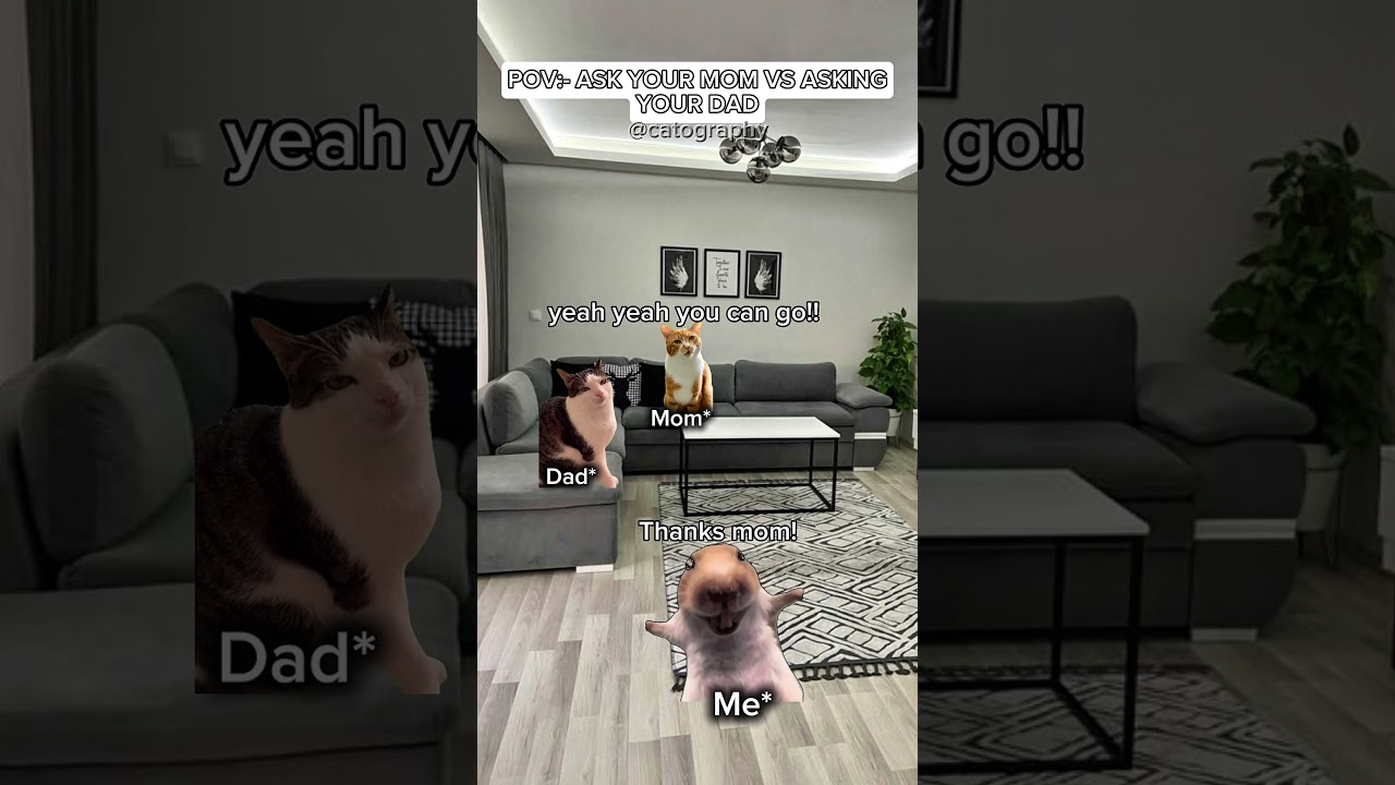 CAT MEMES 😺 || POV :- ASKING YOUR MOM VS DAD #catmemes #relatable #relationship #viral #trending