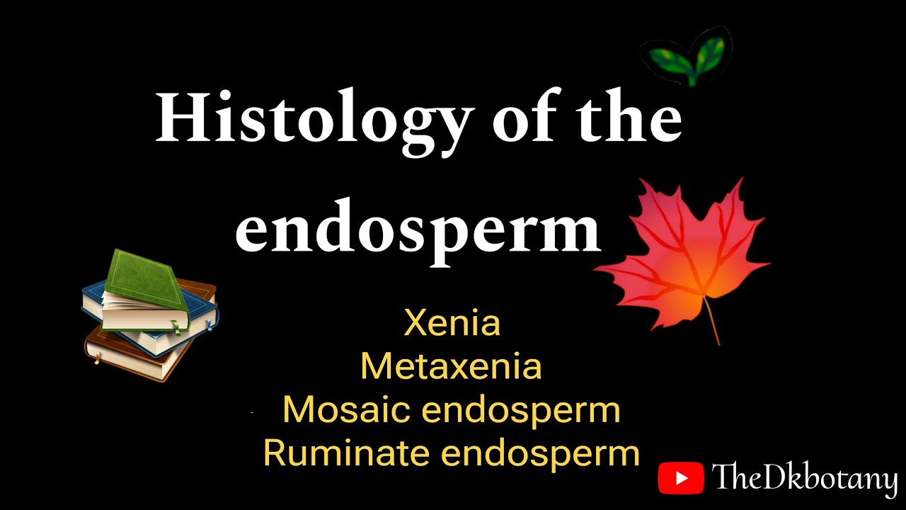 Histology of endosperm | fate of endosperm | ruminate endosperm,xenia, metaxenia,mosaic endosperm