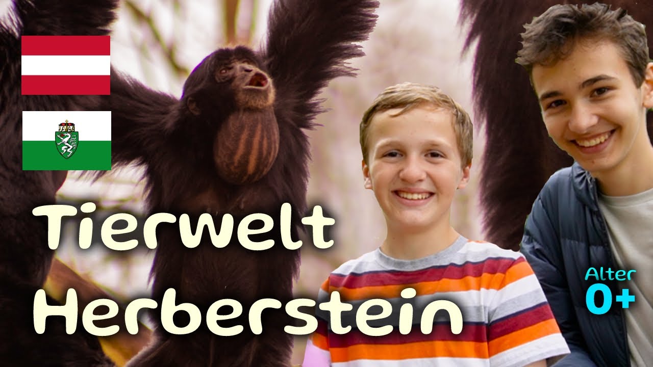 Tierpark Herberstein - Der beste Tierpark in der Steiermark? F&uuml;r euch getestet.