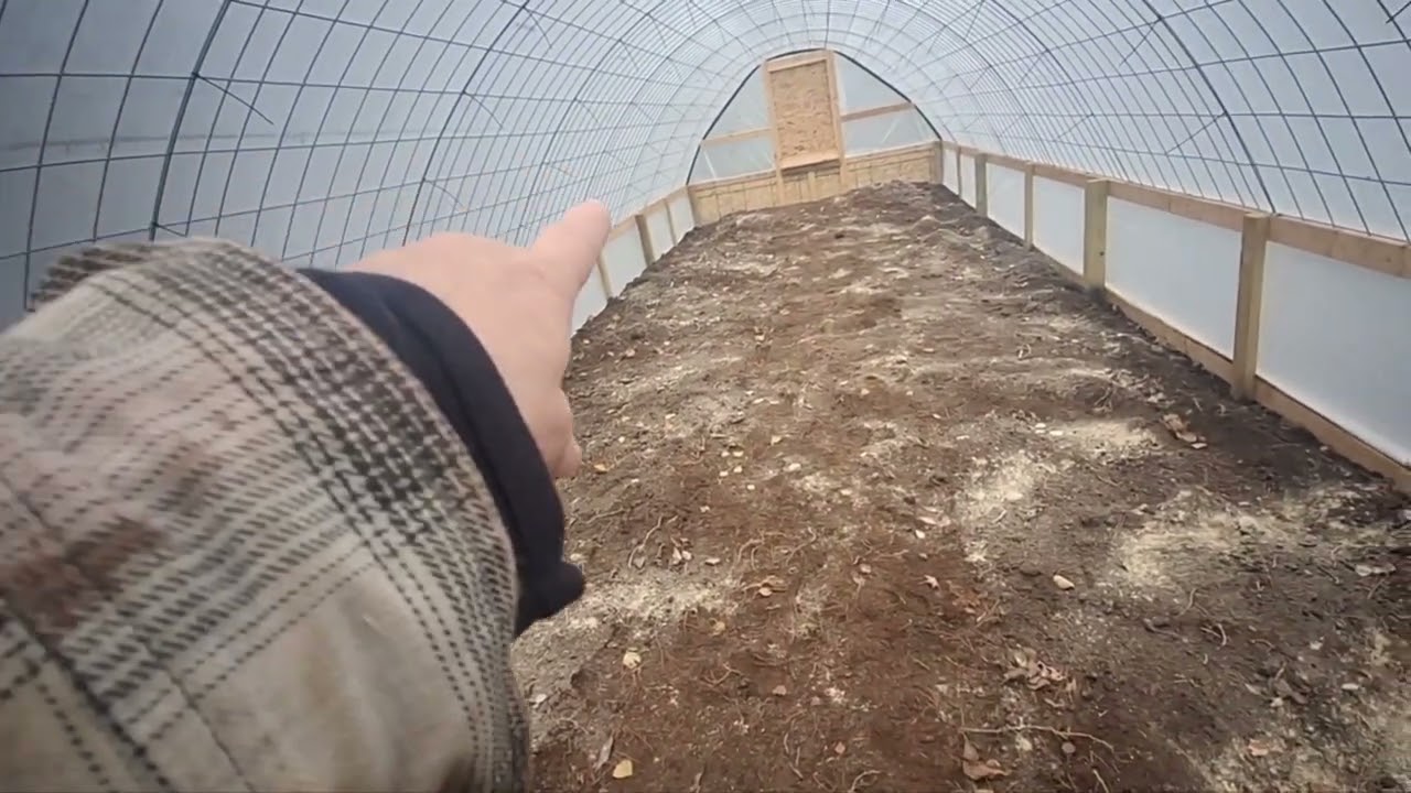 40' greenhouse cattle panel DIY