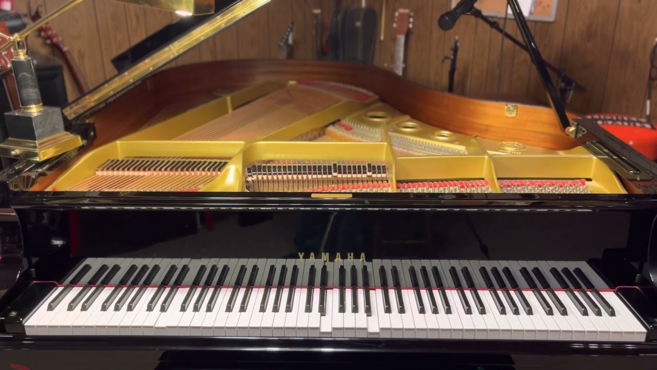 Lifetime Achievement Award by Lemon Demon | Player Piano Arrangement