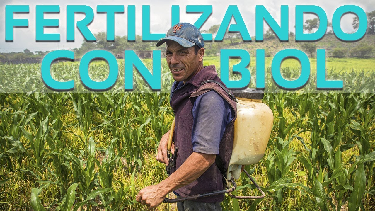 Produciendo fertilizante orgánico con biodigestores | Sistema.bio México