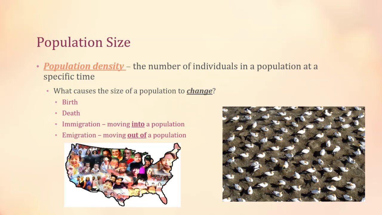 Species, Populations, Population Density