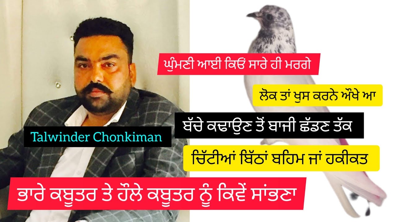 Ik Shonk kabootarbaazi Da Interview ਤਲਵਿੰਦਰ ਚੌਂਕੀਮਾਨ ਉਡਾਣ ਤੋਂ ਸਾਂਭ ਤੱਕ ਦਾ ਤਰੀਕਾ ਤੇ ਖੁਰਾਕ ਪਾਣੀ ਦਾ ਢੰਗ