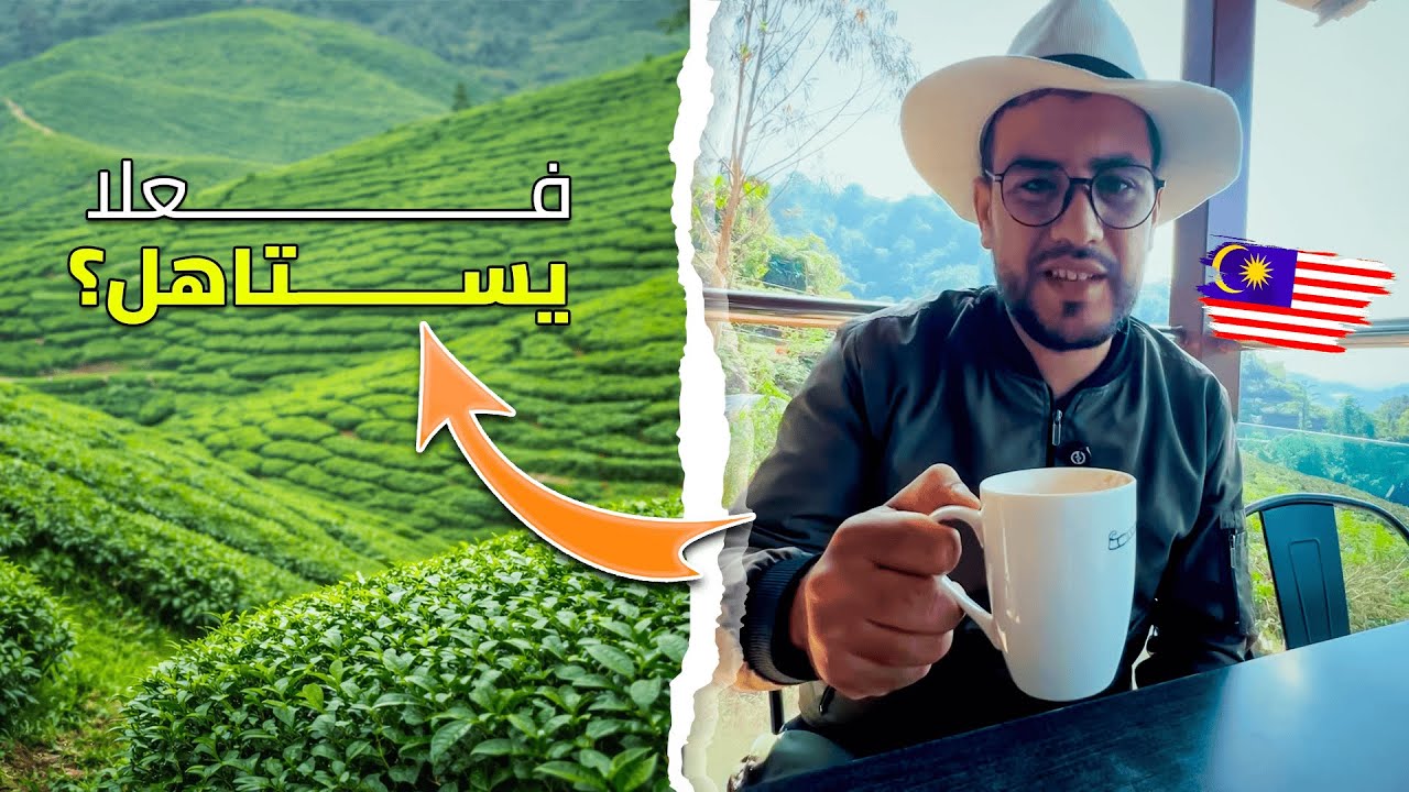 دخلت غابة ماليزيا بوحدي 😮باش نوصل مزارع الشاي في كاميرون هايلاند