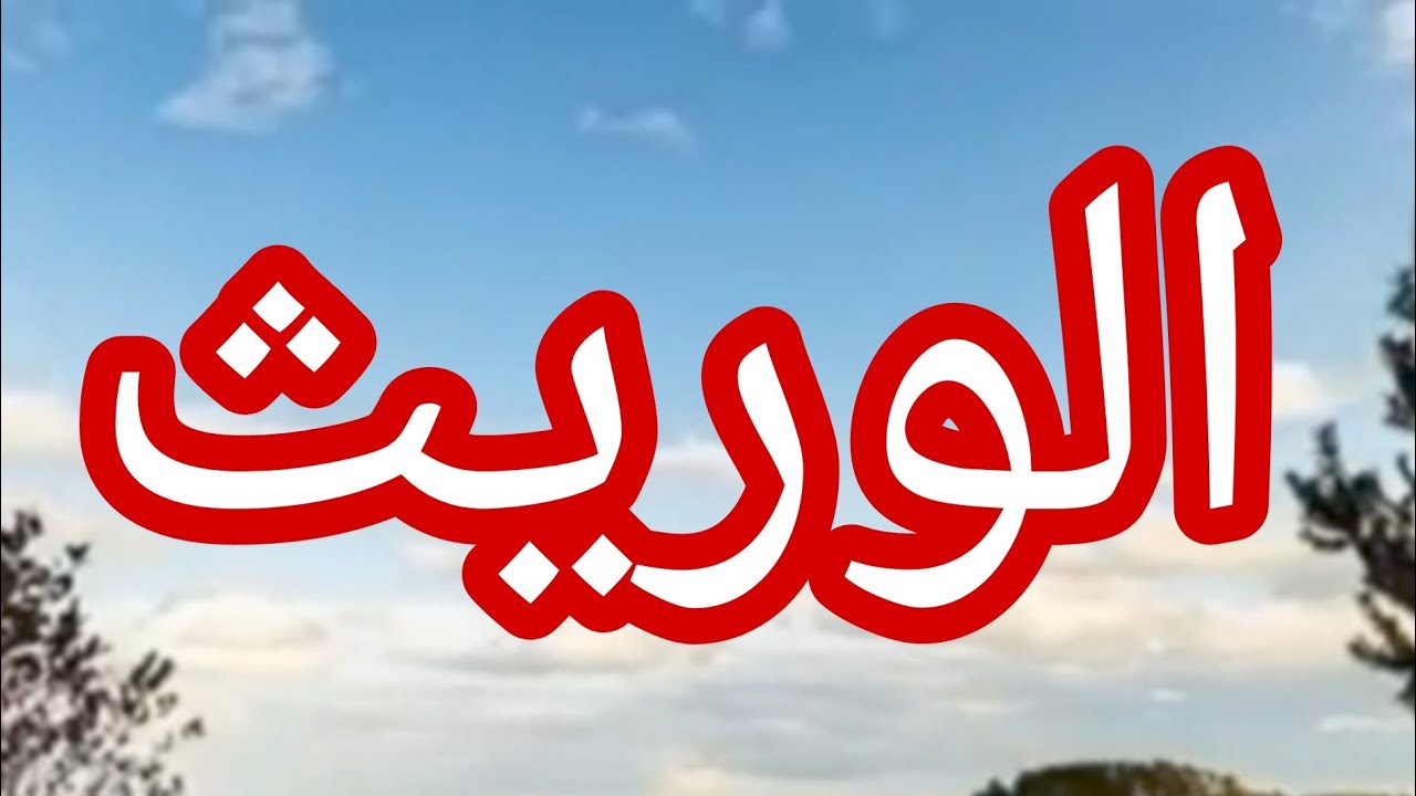 حكاية الزهيري و الورث...