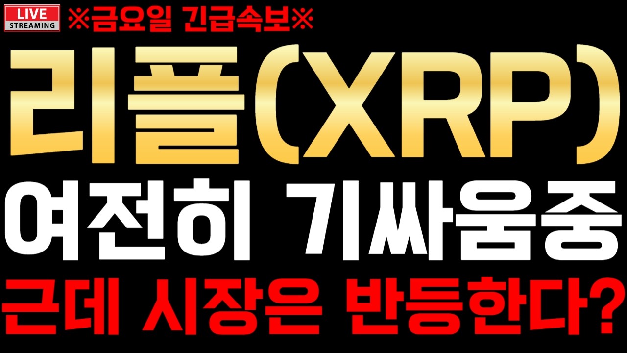 리플XRP 미국 이란 여전히 기싸움중 근데 시장은 반등한다?? 호르무즈해협 클래리티법안 미국이란전쟁 리플전망 리플분석 리플코인 엑스알피 리플코인전망실시간 리플코인실시간 알트코인추천
