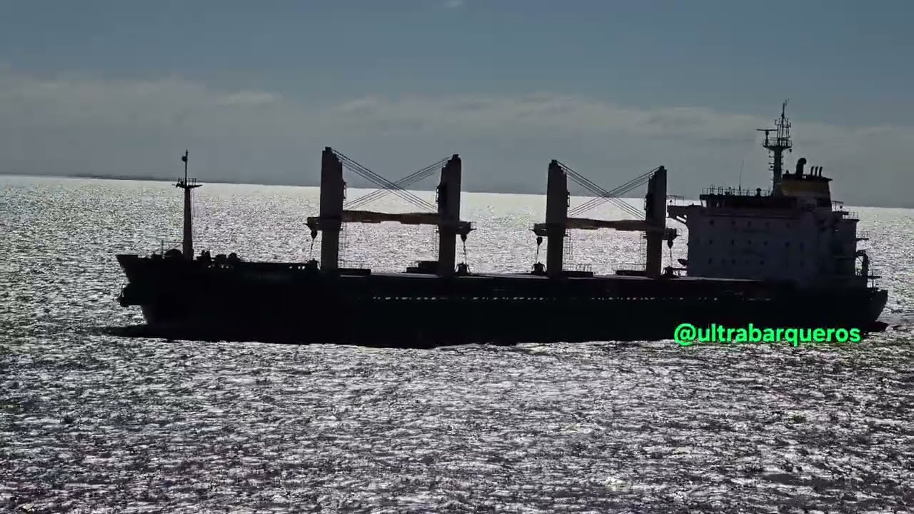 #BulkCarrierShips 
