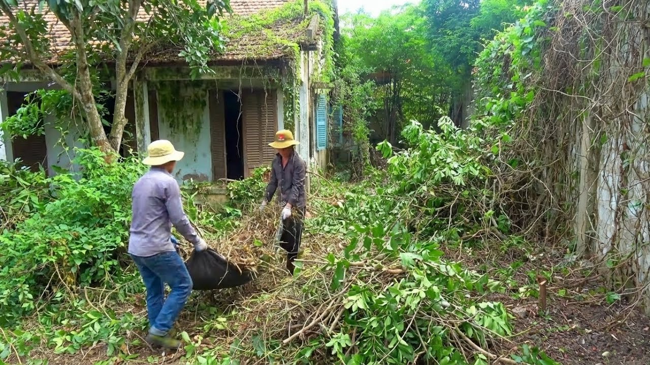50KG of Wild Honey Was the Goal… Surviving Was the Real Challenge
