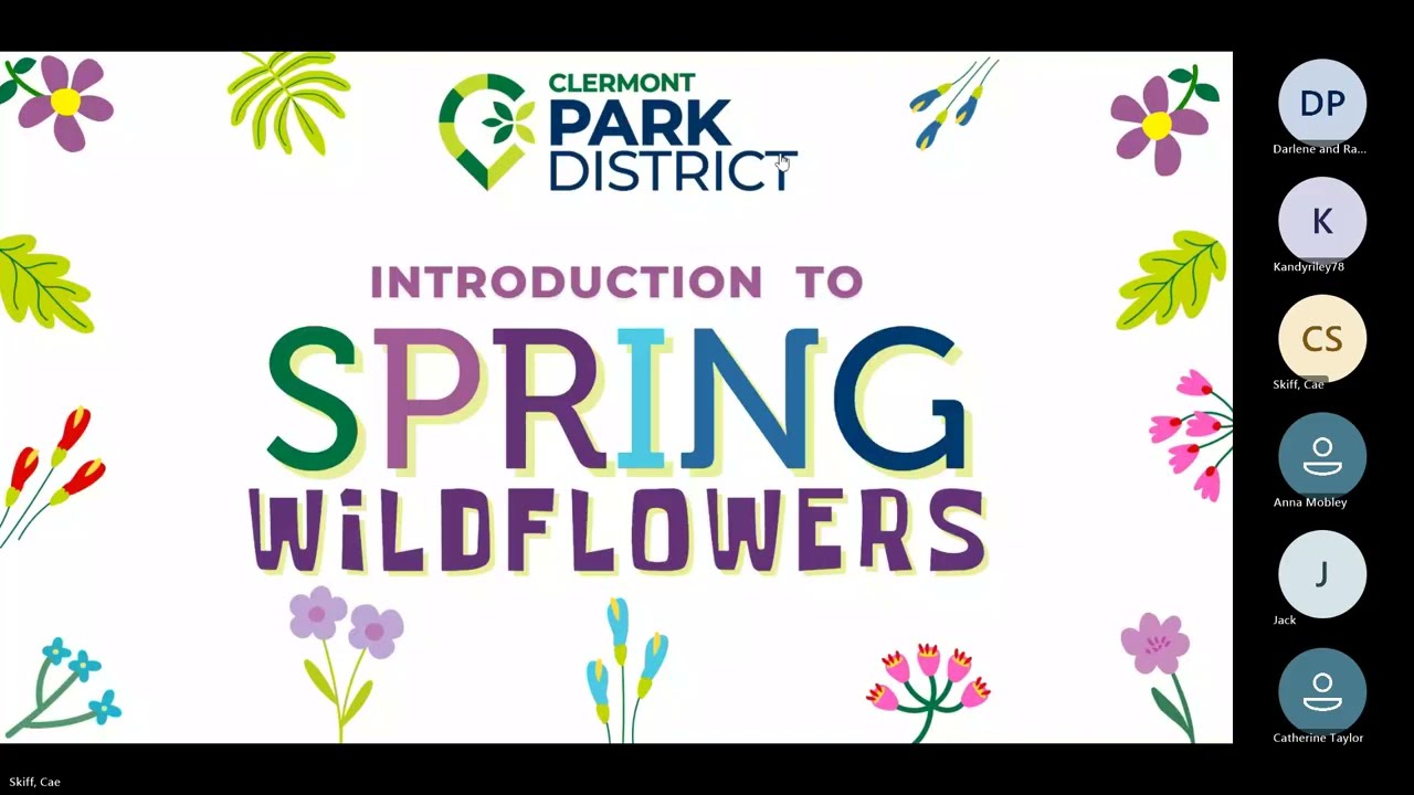 Introduction to Spring Wildflowers