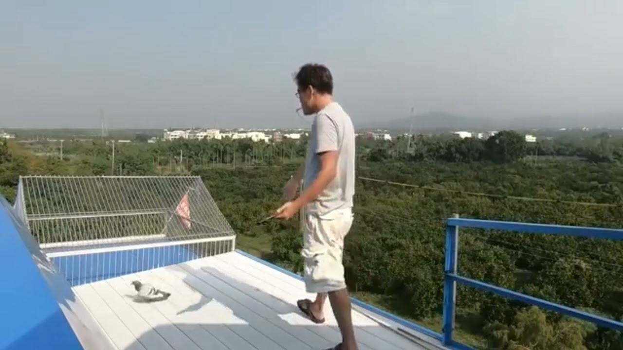 TAIWAN SEA RACE HALOS MALAGLAG  SA LANDING BOARD SA SUPER HARD RACE