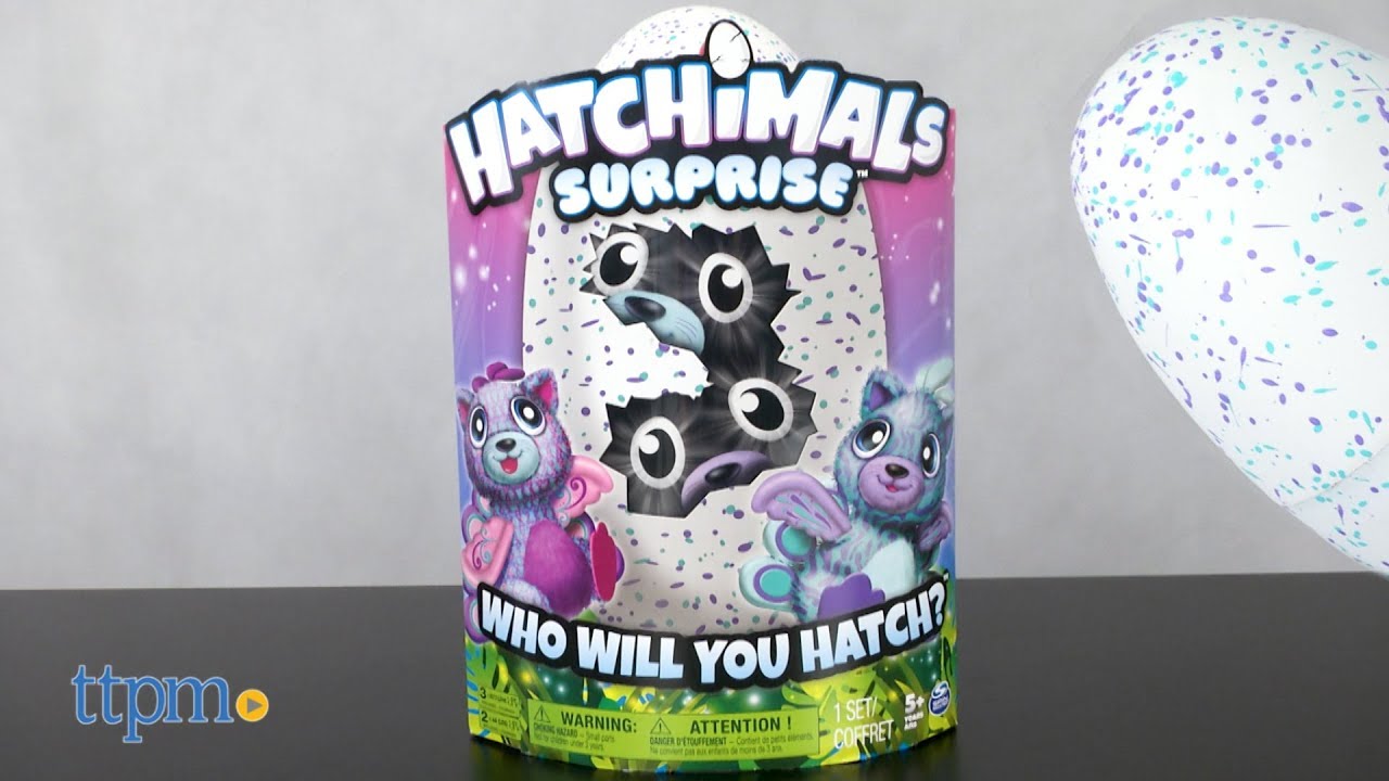 Hatchimals Surprise from Spin Master