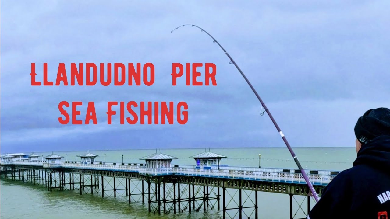 Пирс Лландидно, укрывающий от шторма. Морская рыбалка в Великобритании.