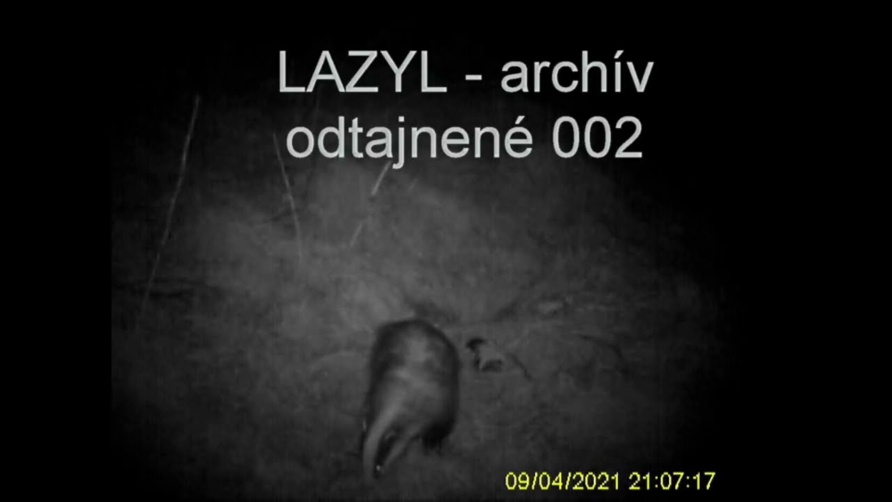 LZarchiv002