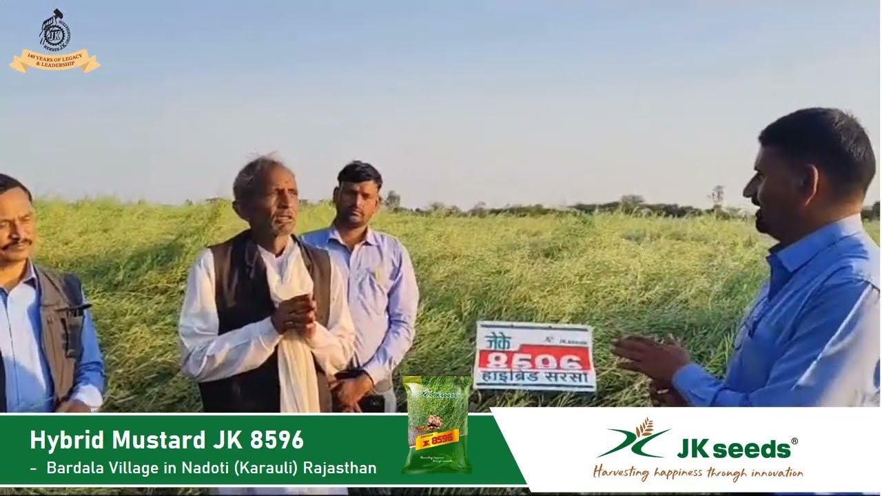 Hybrid Mustard JK 8596 - A Farmer Story from Village Bardala, Rajasthan