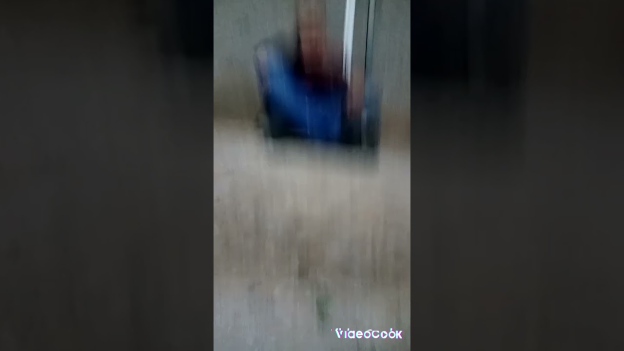 حاسي العش