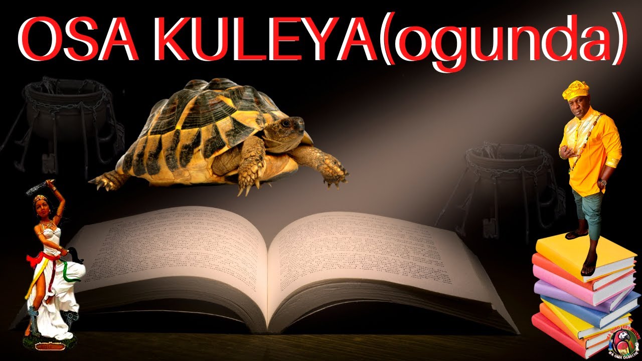 Interpretación en ifa del signo OSA KULEYA(ogunda)🦜