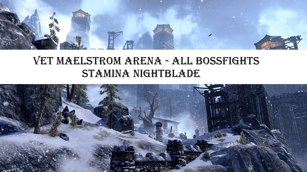 ESO - Vet Maelstrom Arena All Bossfights - Stamina NB