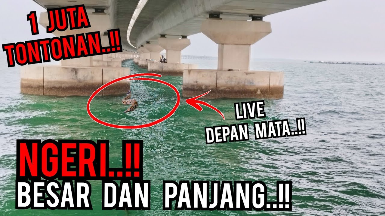 YA TUHANKU !! TENGAH MEMANCING TIBA-TIBA TERNAMPAK  BENDA PANJANG DAN BESAR BAWAH JAMBATAN