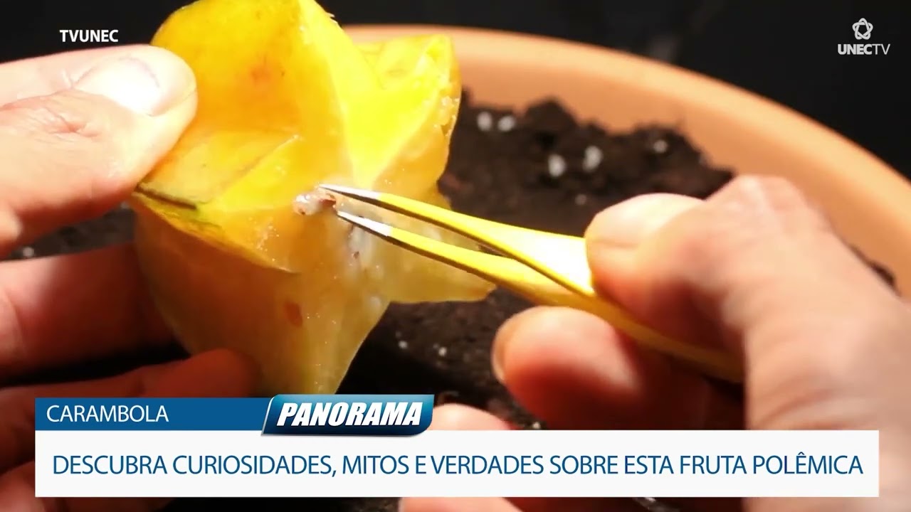 CARAMBOLA: AFINAL, ESTA FRUTA FAZ MAL?