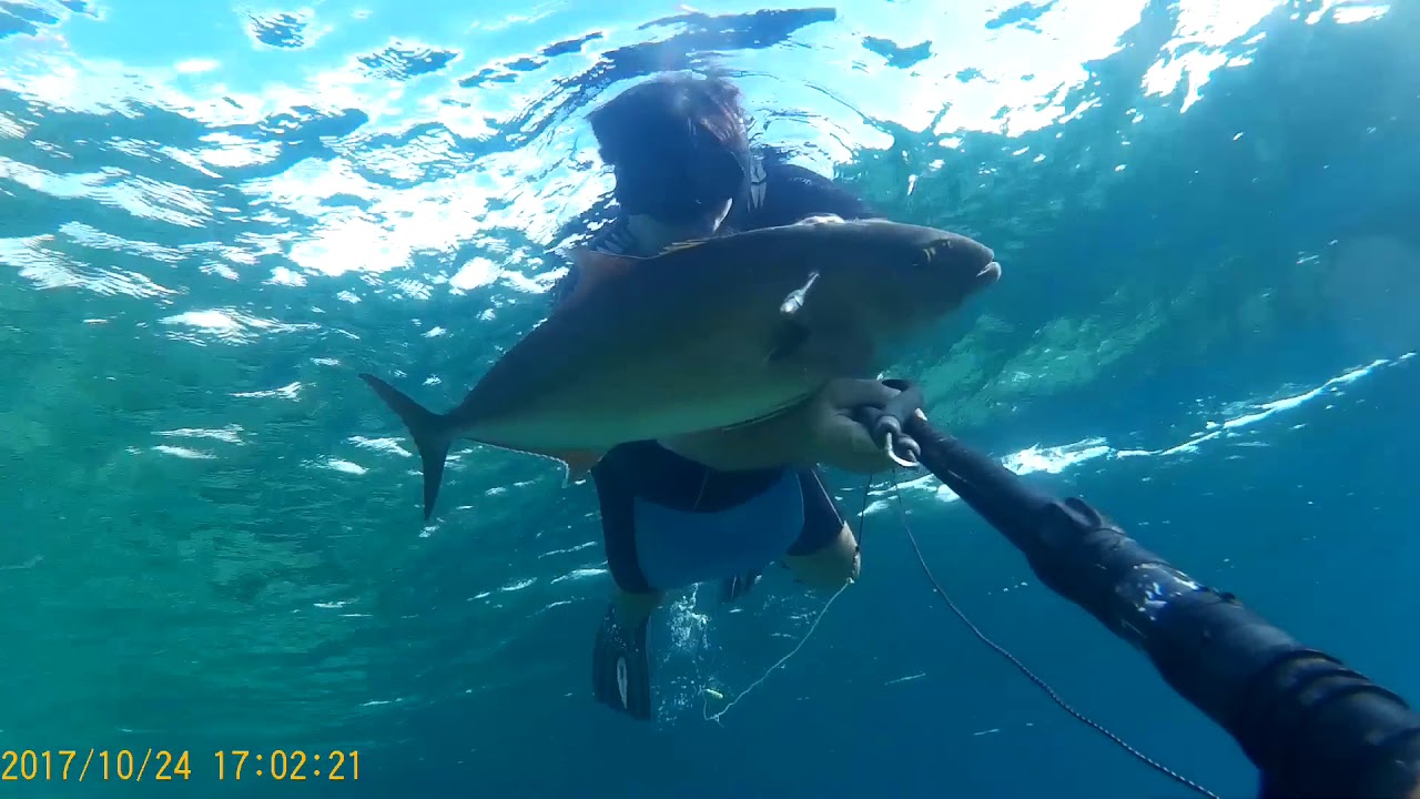 Spearfishing Amberjack @ Skyros 2017 / Ψαροντούφεκο, Μαγιάτικα, Σκύρος 2017