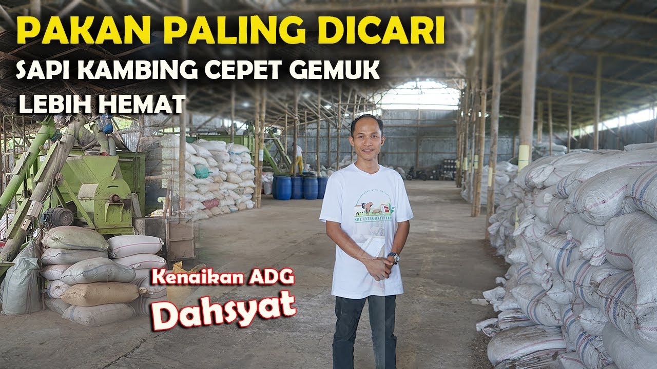 PAKAN SAPI KAMBING PALING DICARI,HEMAT CEPAT GEMUK ||PABRIK PAKAN BERKUALITAS