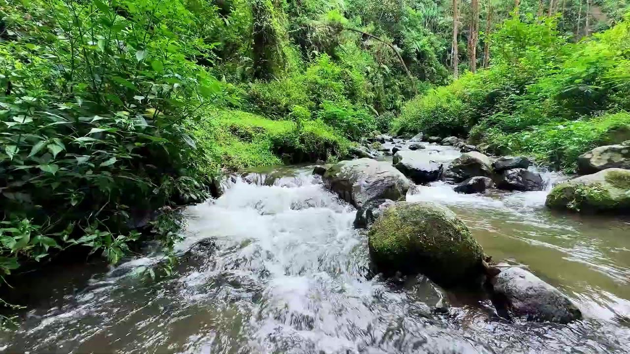 River relaxation near gentle water flow helping deep sleep come easier and deeper
