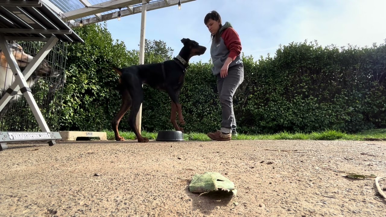 Siggi - building body awareness