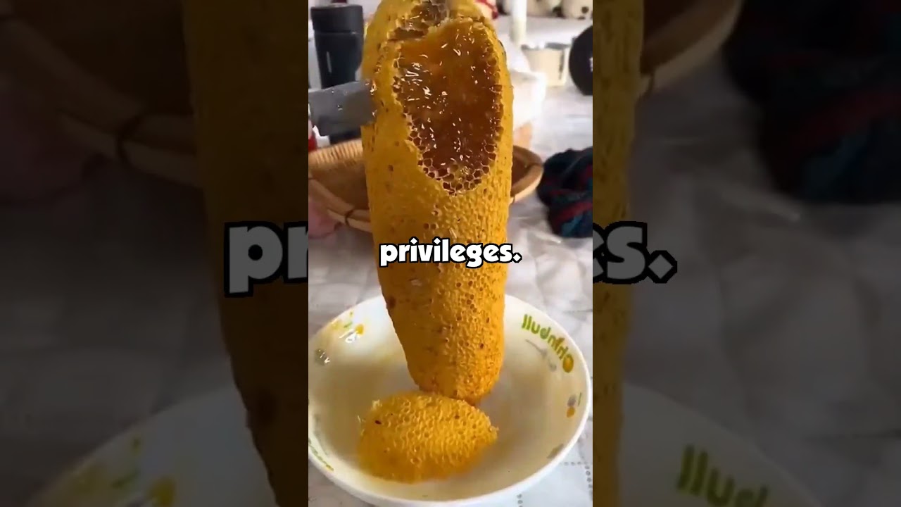 When did basic military training actually prepare you perfectly?