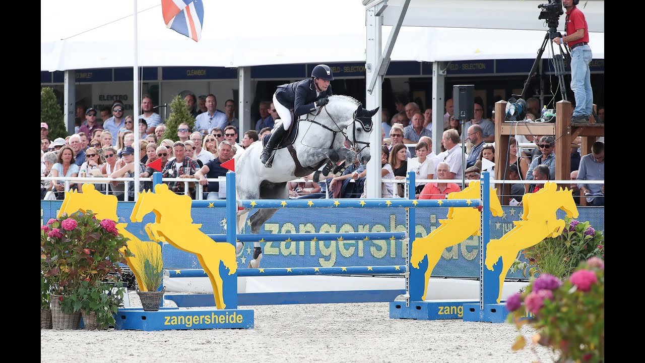 Diaron - Stallion Collection Schockemoehle 2021 ENG
