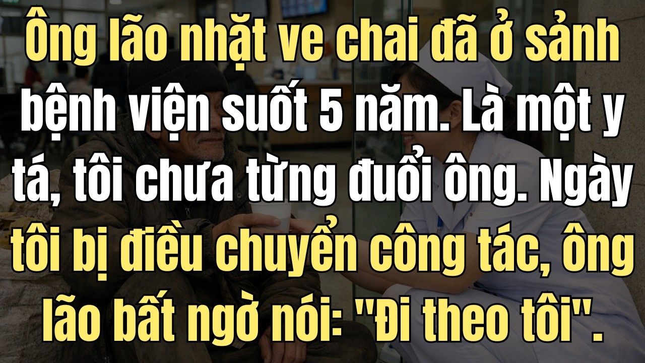 Ông Lão Nhặt Ve Chai Đã Ở Sảnh Bệnh Viện Suốt 5 Năm. Tôi Chưa Từng Đuổi Ông. Khi Tôi Bị Đuổi Việc...
